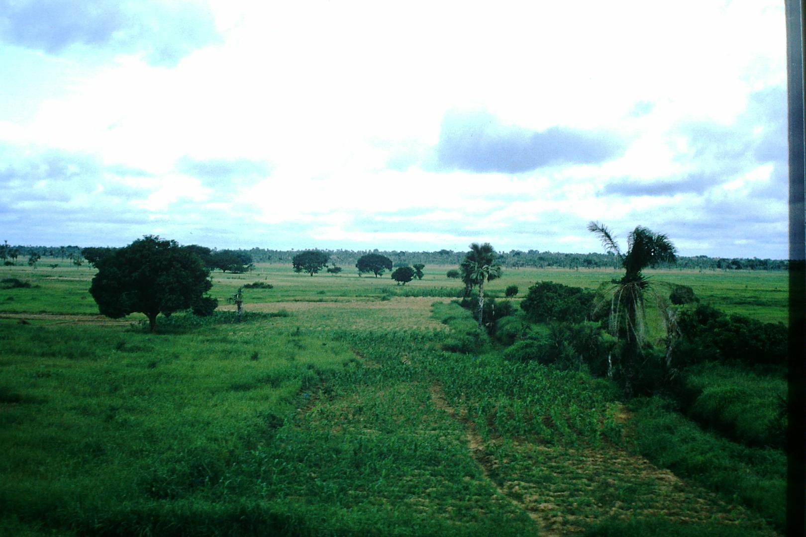 Savana - kmetijska raba