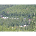 Gozd v Kanadi.jpg<>Gozd v Kanadi