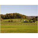 31355fc5bd6976696e6f72656a736b61206661726d61.jpg<>Živinorejska kmetija