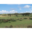 26_Savana v Mehiki.jpg<>Savana v Mehiki