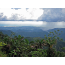 31385f4b61726962736b6f206f746fc48d6a652d6f626c616b692d76656765746163696a61.1.jpg<>Karibsko otočje z rastlinstvom in dežnimi oblaki