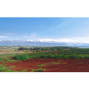 23_Kostarika-nasadi kave.jpg<> Nasadi kave v Kostariki