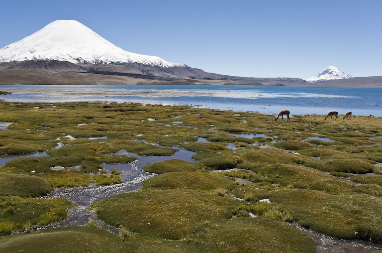 Andi na severu Čila
