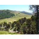 6_Okolica Mendoze-Argentina.jpg<>Okolica Mendoze - Argentina