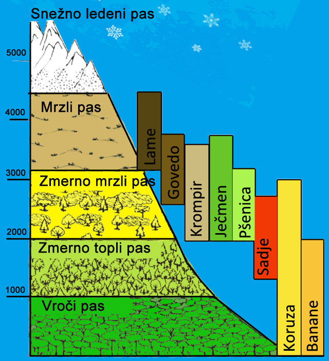 Višinski pasovi v Andih