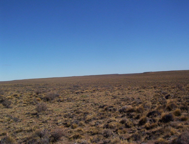 Hladna in sušna Patagonija - Argentina