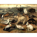 Arkticni zivalstvo<>Arktično živalstvo