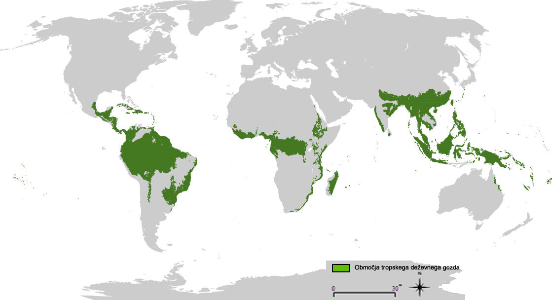 Razširjenost  tropskega deževnega gozda