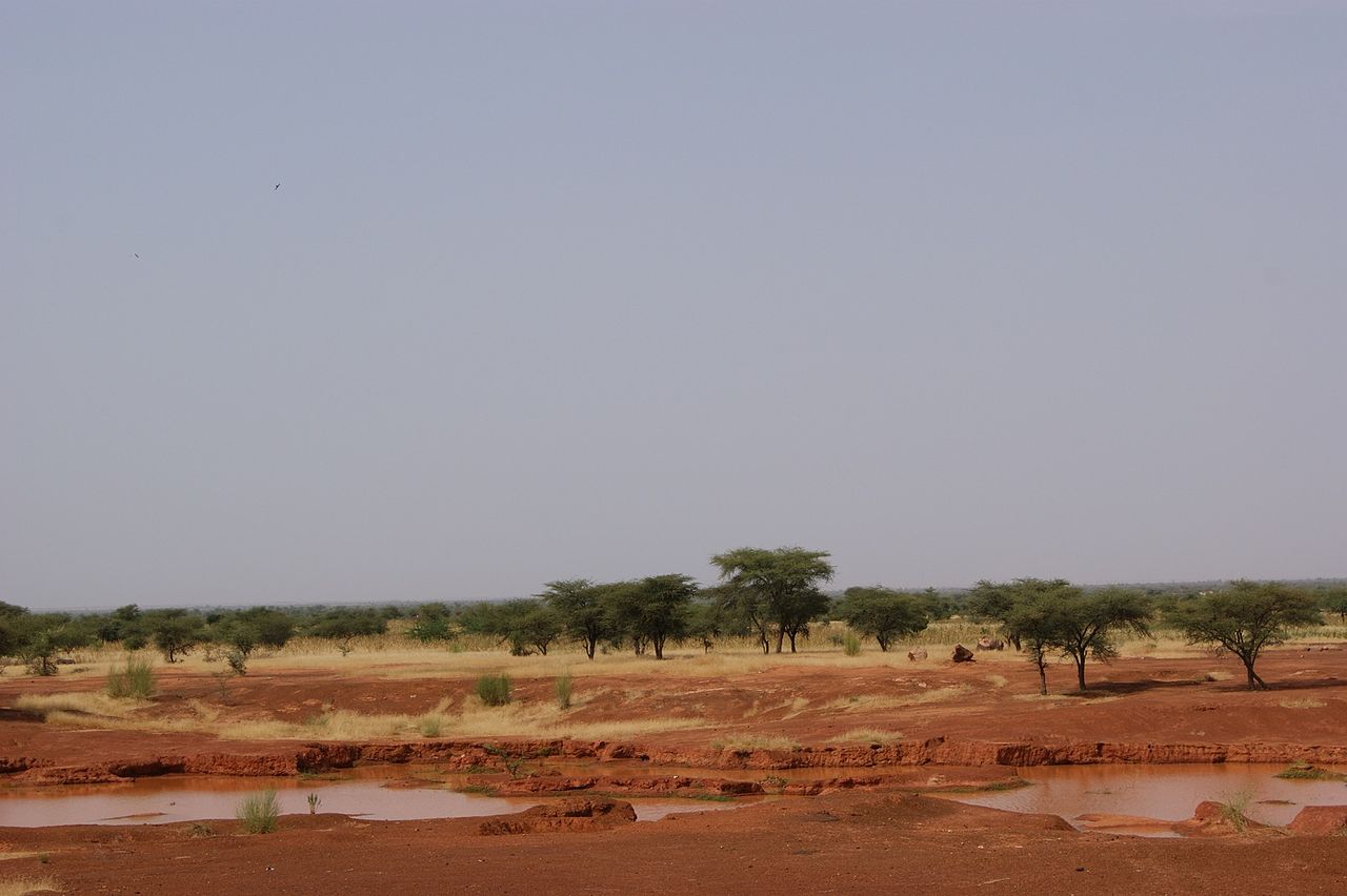 V Sahelu se pušave najhitreje širijo