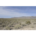 Tropski<>Tropski deževni gozd