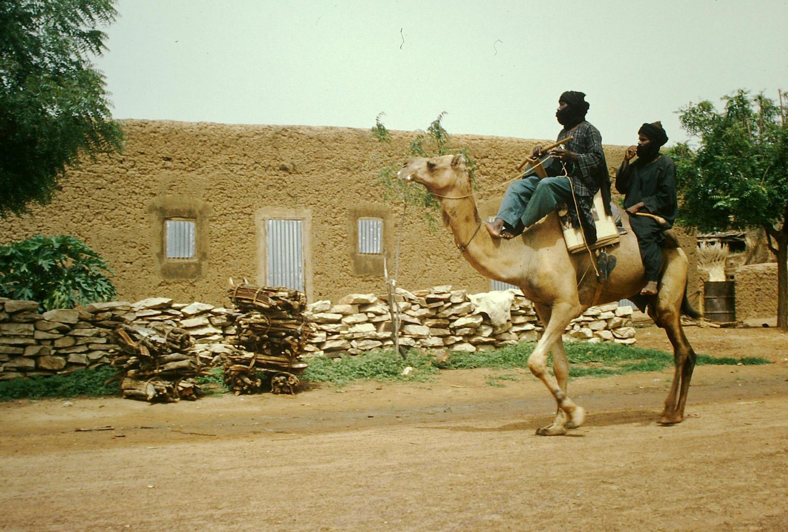 Puščavsko ljudstvo - Tuaregi