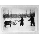 18_Lov severnih jelenov - Rusija.jpg<>Lov na severne jelene - Rusija