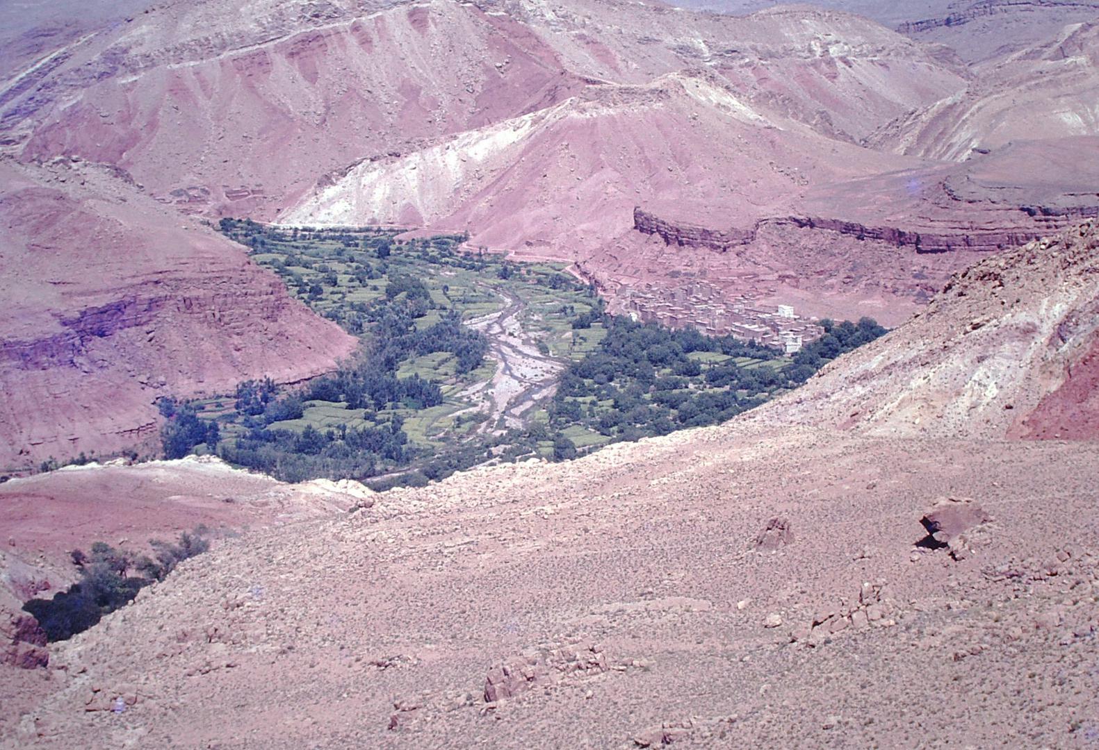 Oaza - zelenica sredi puščave