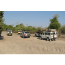 14_Foto safari.jpg<>Safari