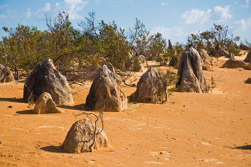 Avstralska puščava