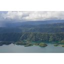 TDG do obale_PNG.JPG<>Bujno raslinstvo na Papui