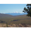 7_Notranjost Argentine.jpg<>Notranjost Argentine