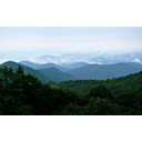 31395f4170616c61c48d6931.jpg<>Apalači