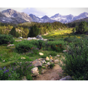 24_Little_Lakes_Valley-Sierra.jpg<>Little Lakes, Valley Sierra