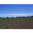 Argentina<>Kmetijske površine - Argentina