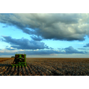 Bombazna plantaza<>Bombažna plantaža - Brazilija