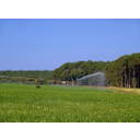 Namakanje<>Namakanje monokulturnih površin