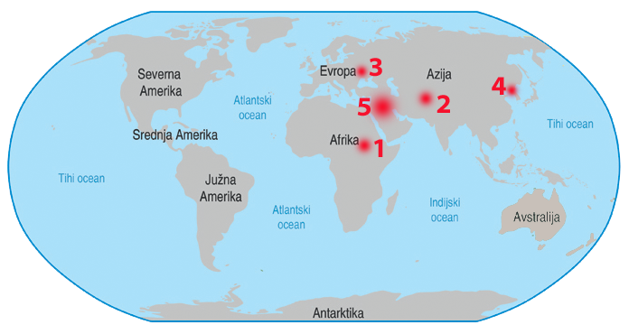 Večja svetovna krizna žarišča